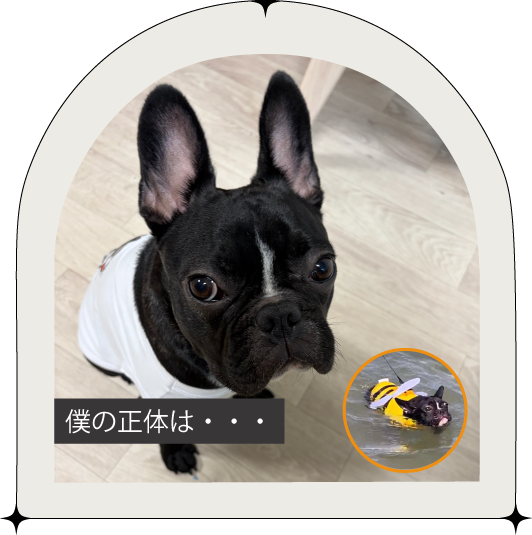 ごんちゃん
